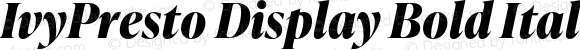 IvyPresto Display Bold Italic