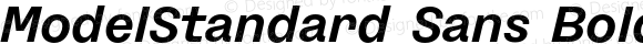 ModelStandard Sans Bold Italic