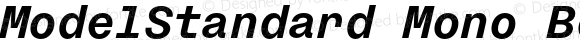 ModelStandard Mono Bold Italic
