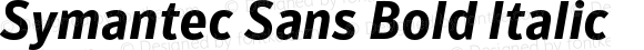 Symantec Sans Bold Italic