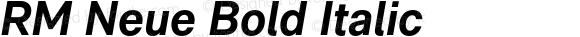 RM Neue Bold Italic