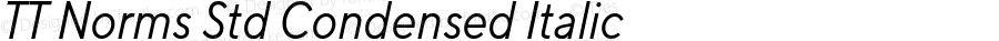 TT Norms Std Condensed Italic