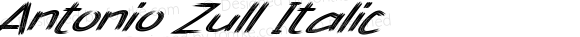 Antonio Zull Italic