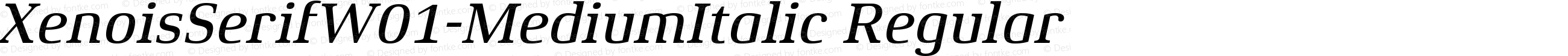 Xenois Serif W01 Medium Italic