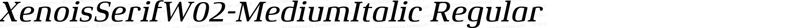 Xenois Serif W02 Medium Italic