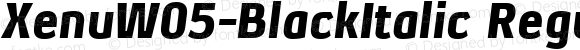 XenuW05-BlackItalic Regular