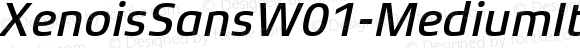 Xenois Sans W01 Medium Italic