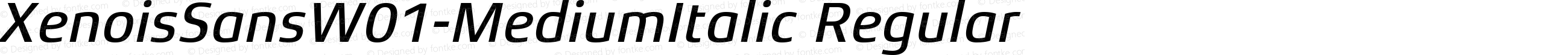 Xenois Sans W01 Medium Italic