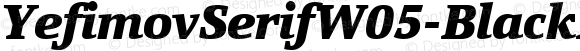 YefimovSerifW05-BlackItalic Regular