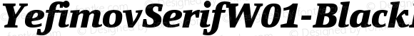 Yefimov Serif W01 Black Italic