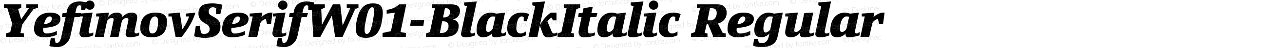 Yefimov Serif W01 Black Italic