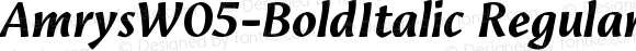 Amrys W05 Bold Italic