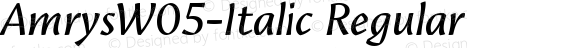 Amrys W05 Italic