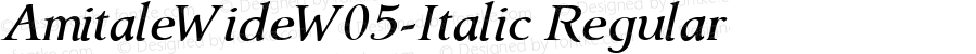 AmitaleWideW05-Italic Regular Version 1.00