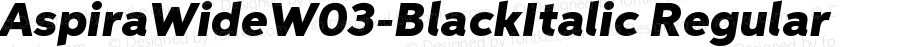 Aspira Wide W03 Black Italic