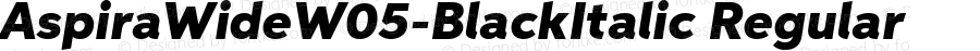 Aspira Wide W05 Black Italic