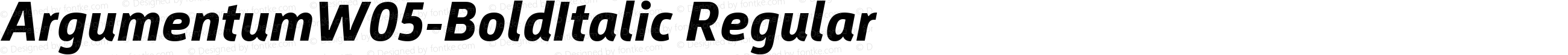 Argumentum W05 Bold Italic