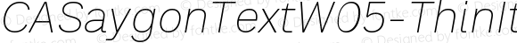 CASaygonTextW05-ThinItalic Regular