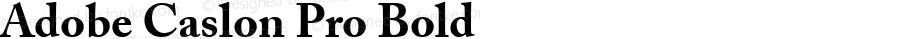 Adobe Caslon Pro Bold