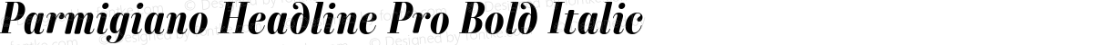 Parmigiano Headline Pro Bold Italic
