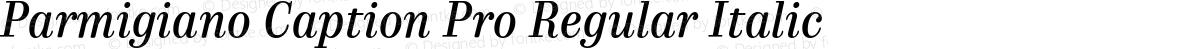 Parmigiano Caption Pro Regular Italic