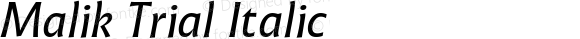 Malik Trial Italic