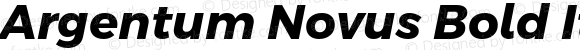 Argentum Novus Bold Italic