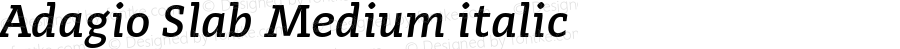 Adagio Slab Medium italic