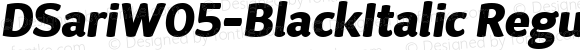 DSariW05-BlackItalic Regular