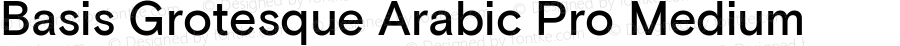 Basis Grotesque Arabic Pro Medium