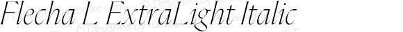 Flecha L ExtraLight Italic