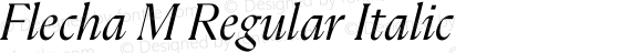 Flecha M Regular Italic