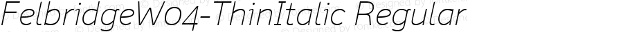 FelbridgeW04-ThinItalic Regular Version 1.00