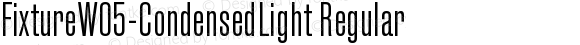 FixtureW05-CondensedLight Regular