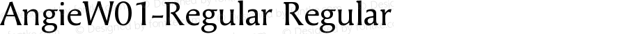 AngieW01-Regular Regular Version 7.504