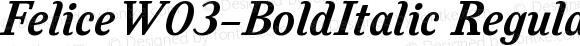 FeliceW03-BoldItalic Regular Version 1.00