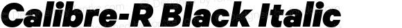 Calibre-R Black Italic Version 2.001 | web-OT