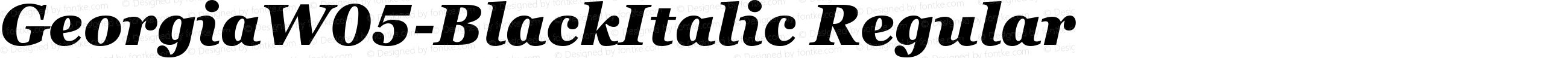 GeorgiaW05-BlackItalic Regular