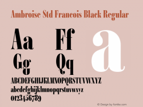 Ambroise Std Francois Black