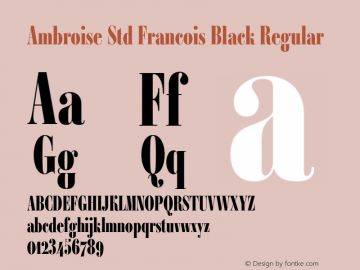 Ambroise Std Francois Black