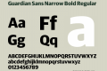 Guardian Sans Narrow Bold