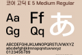 코어 고딕 E 5 Medium