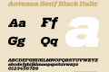 Antenna Serif Black