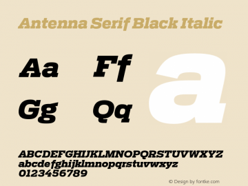 Antenna Serif Black