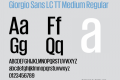 Giorgio Sans LC TT Medium