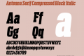 Antenna Serif Compressed Black