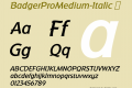 BadgerProMedium-Italic