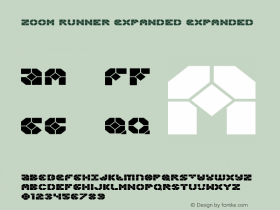 Zoom Runner Expanded