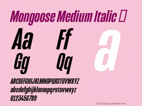 Mongoose Medium Italic