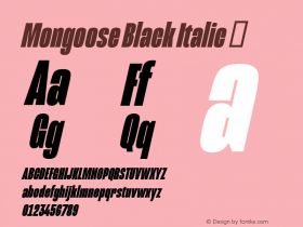 Mongoose Black Italic